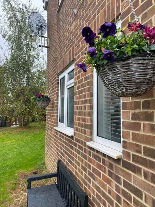 Cosy Studio Apartment Waterlooville Exterior photo